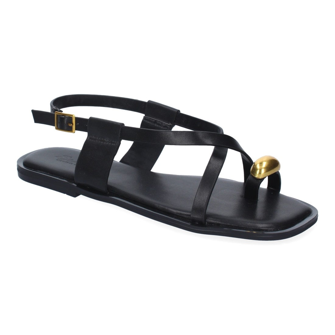 TC-1U1-Negro