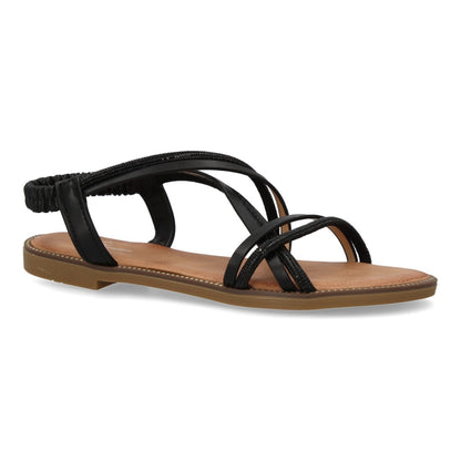 TF2509-Negro