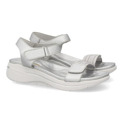 HLS-0691-Plata