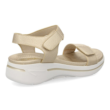 HLS-0691-Oro