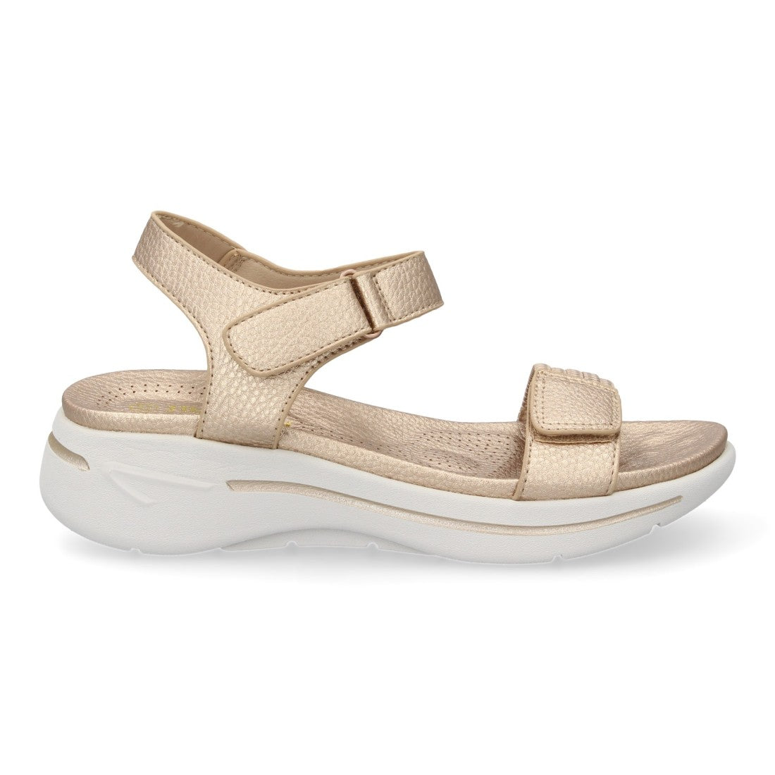 HLS-0691-Champan