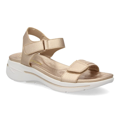 HLS-0691-Champan