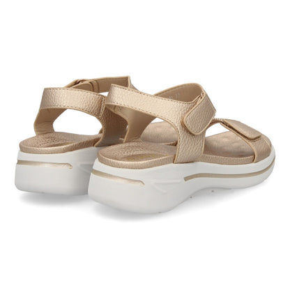 HLS-0691-Champan