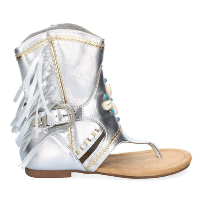 JH-168-Plata
