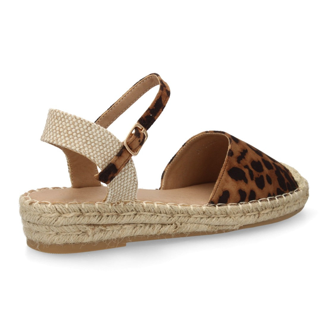 JY-3A024-Leopardo