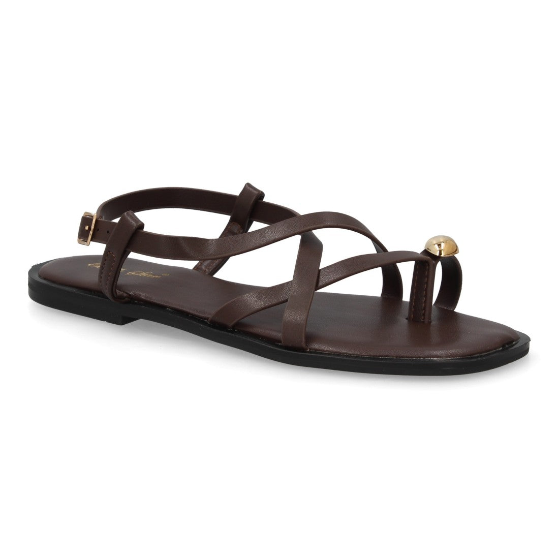 L2887-Marron