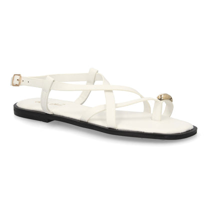 L2887-Blanco