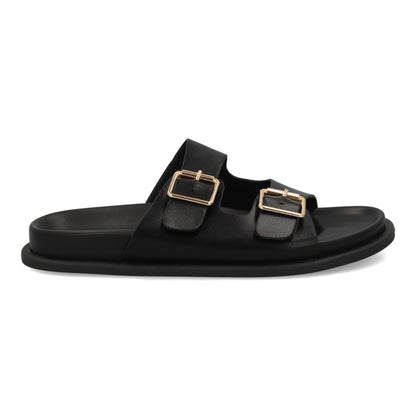 OH-572-Negro