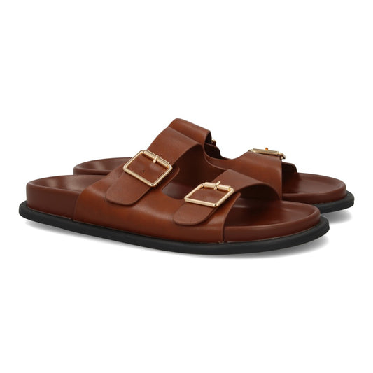 OH-572-Camel