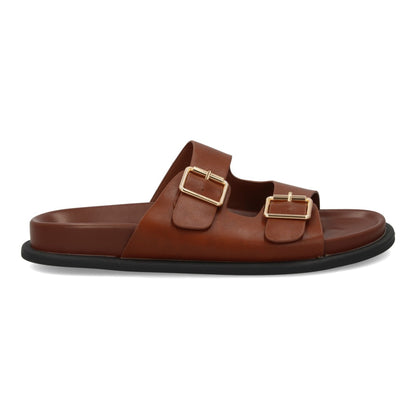 OH-572-Camel
