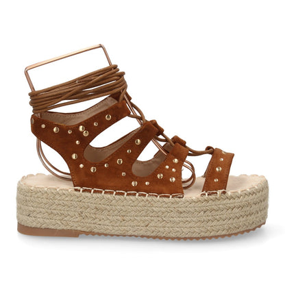 TF2935-Camel