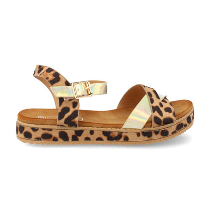 HD-397-Leopardo