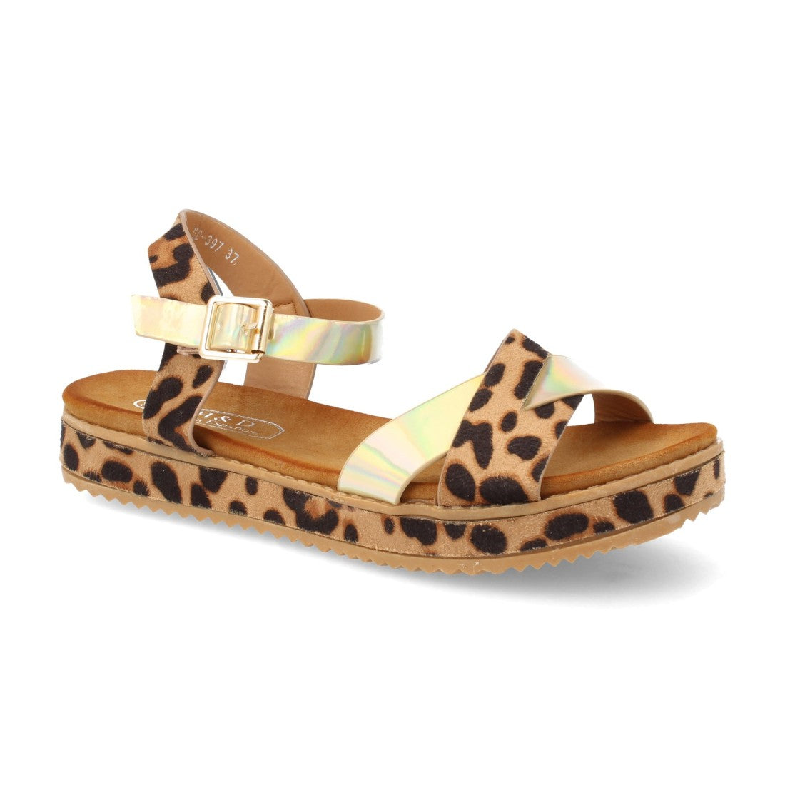 HD-397-Leopardo