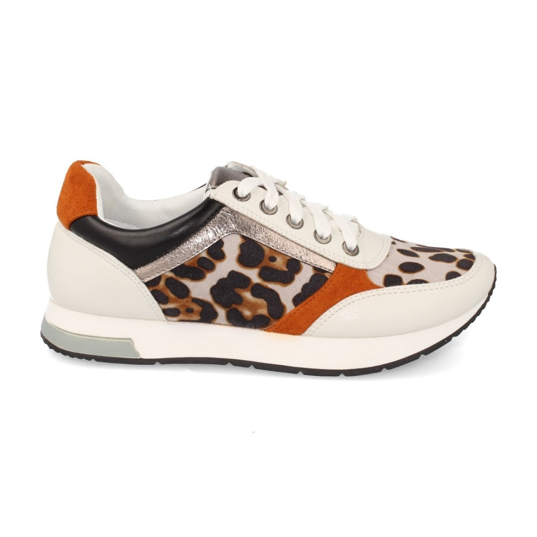 K1940004-Leopardo