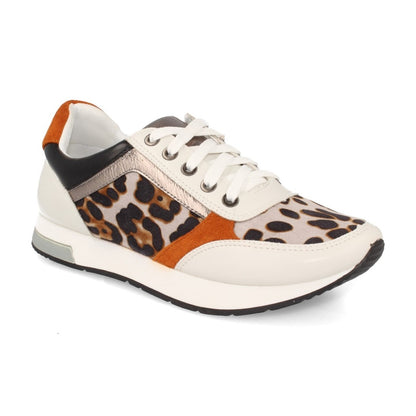 K1940004-Leopardo