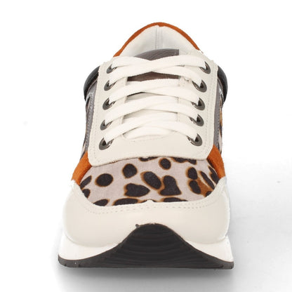K1940004-Leopardo